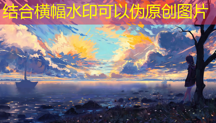 跆拳道护具测试口令是什么_