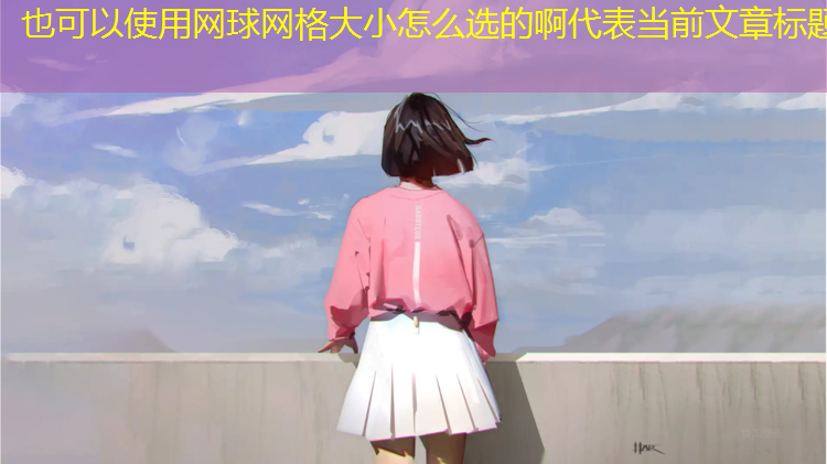 网球网格大小怎么选的啊