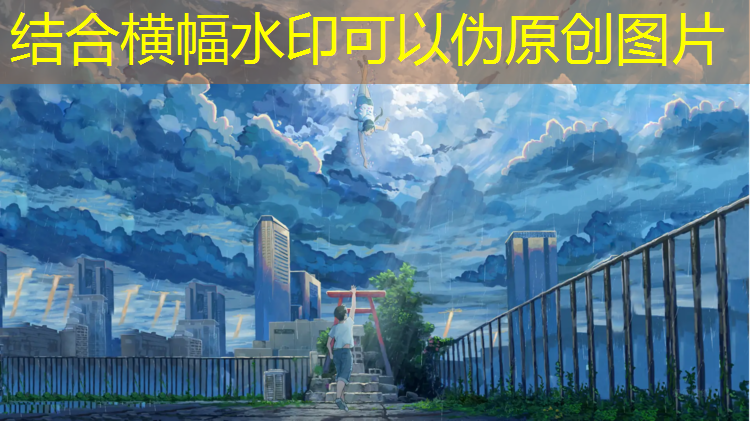 安顺塑胶跑道铺设工程