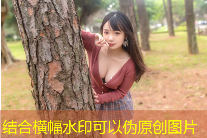 体操垫近期价格