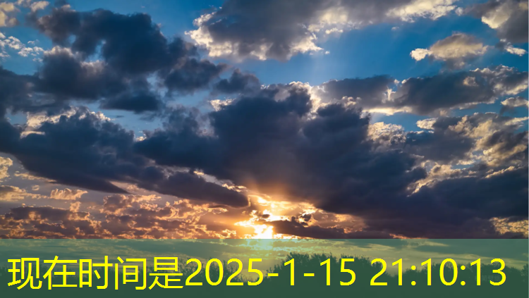 武威塑胶跑道地板