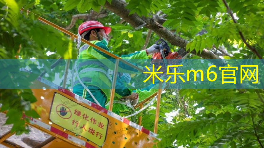 米乐m6官网登录入口：双人网球拍10元能用吗_