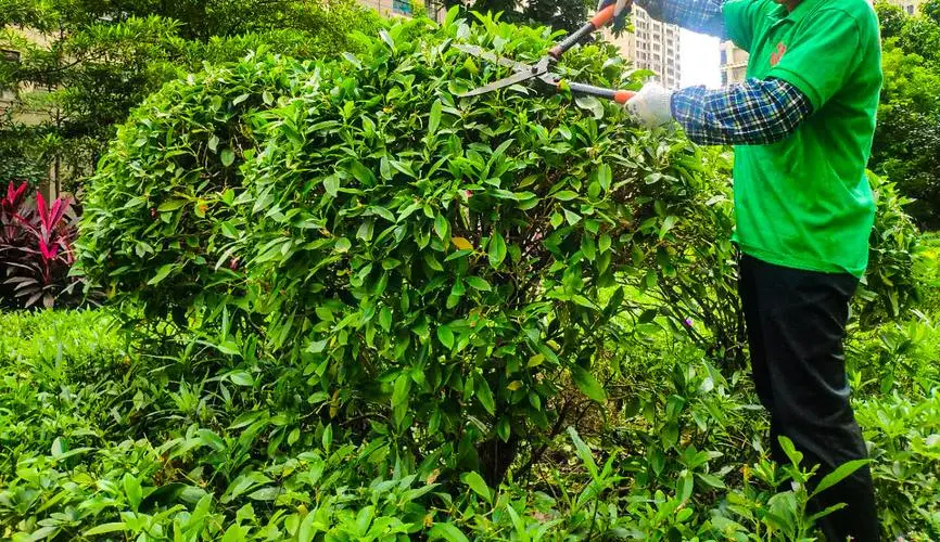 米乐m6官网：网球拍可以直接拿上飞机吗_