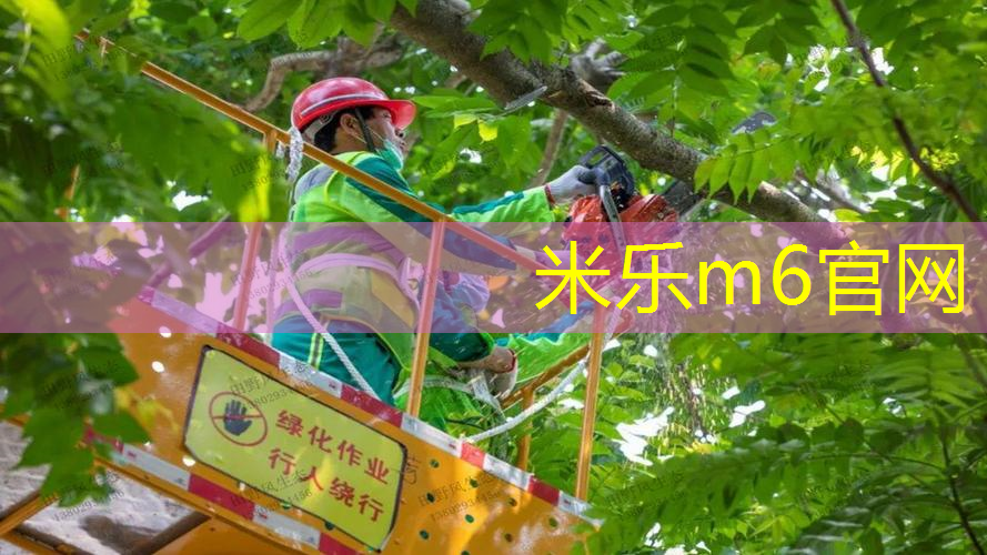 mile米乐m6官网：网球拍穿线怎么看打结点