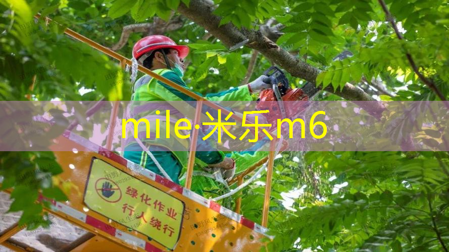 mile·米乐m6：专业网球拍成人单拍