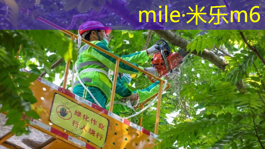 米乐：怎么在网球拍上绑球杆