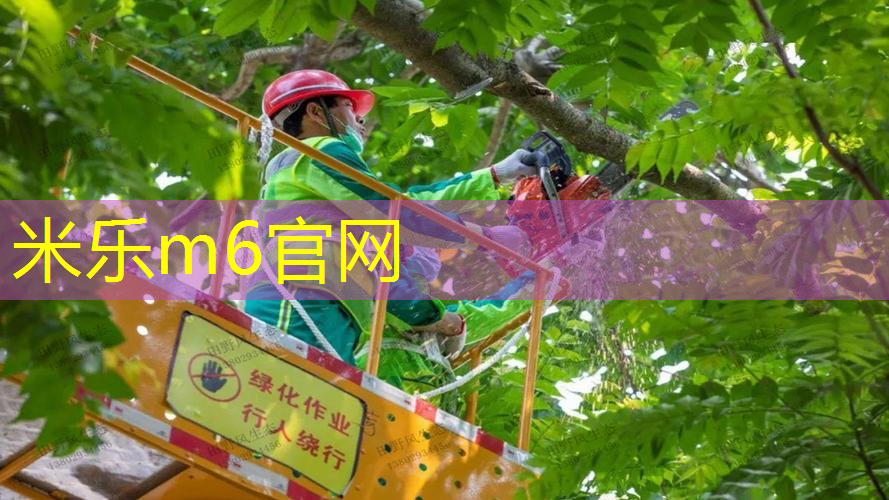 mile米乐m6官网：网球拍青少年和成人区别