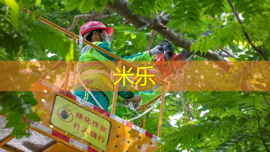 米乐m6官网：网球拍百宝力进阶