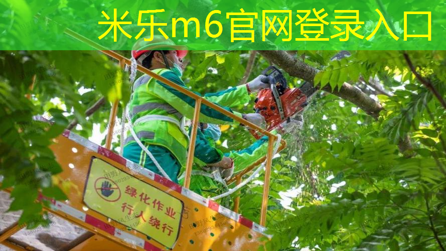 mile米乐m6官网：乒乓球台怎么喷漆