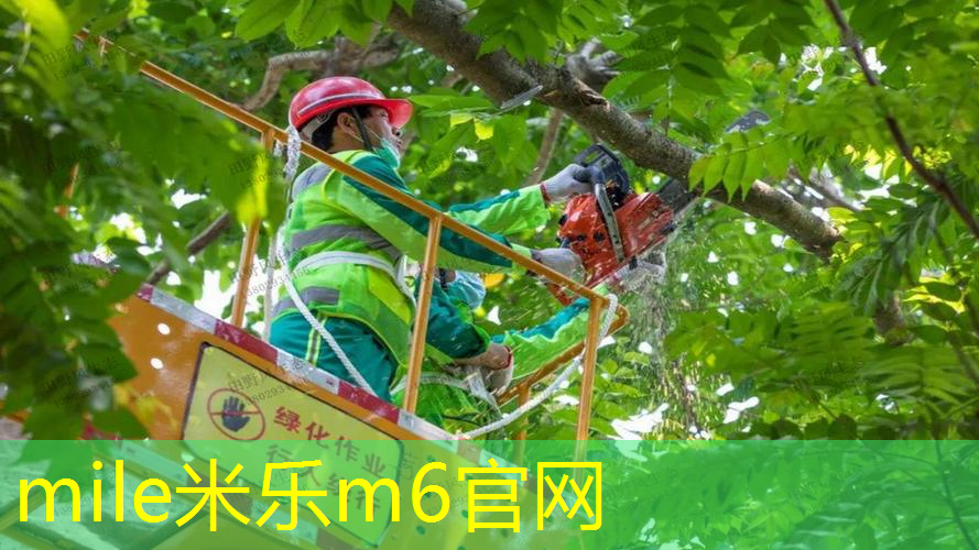 米乐m6官网登录入口：轻盈弹力，赛场利器：看塑胶跑道材料原理如何发挥优势