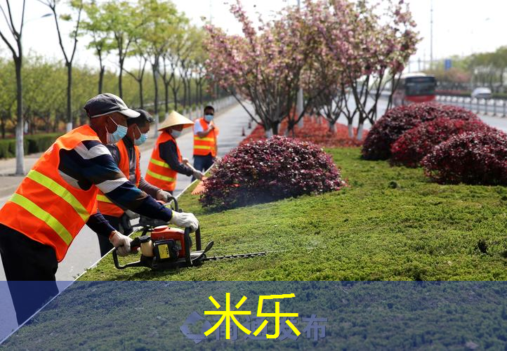 游乐天堂！冰淇淋户外滑梯儿童让你爱上夏天