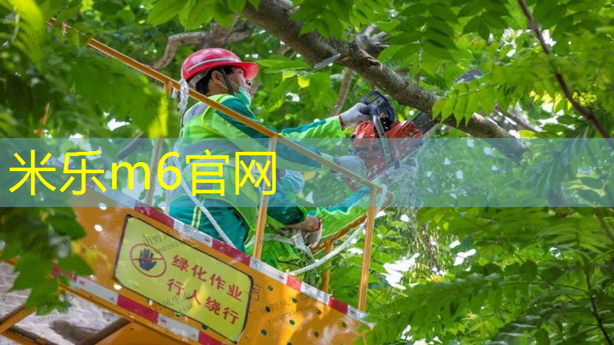 mile·米乐m6：新野乒乓球台转让