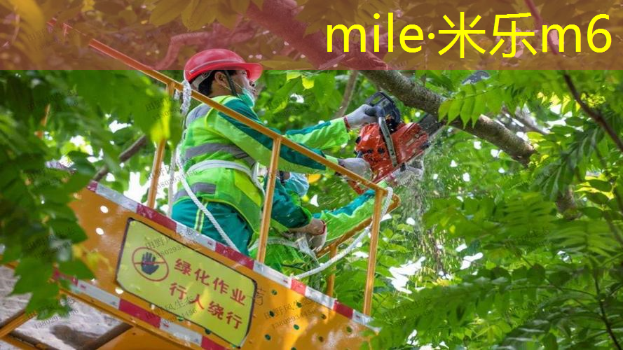 网球拍宽度大概多少磅合适