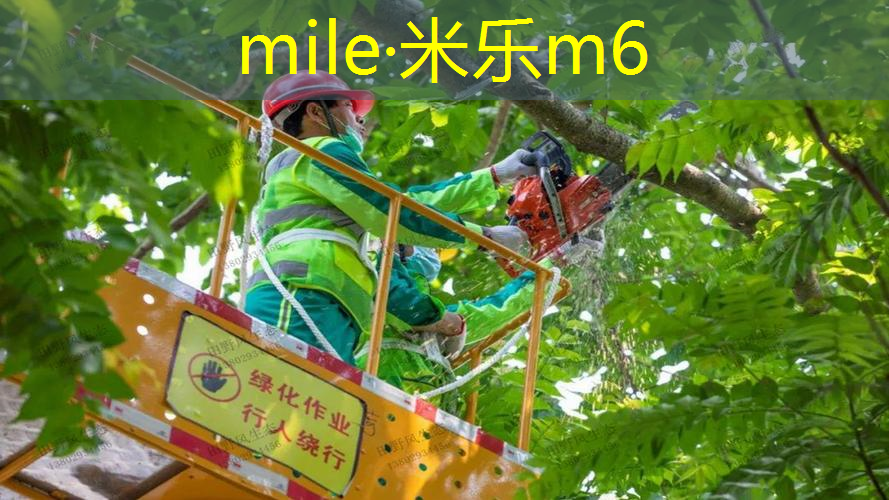 双人网球拍10元能用吗_
