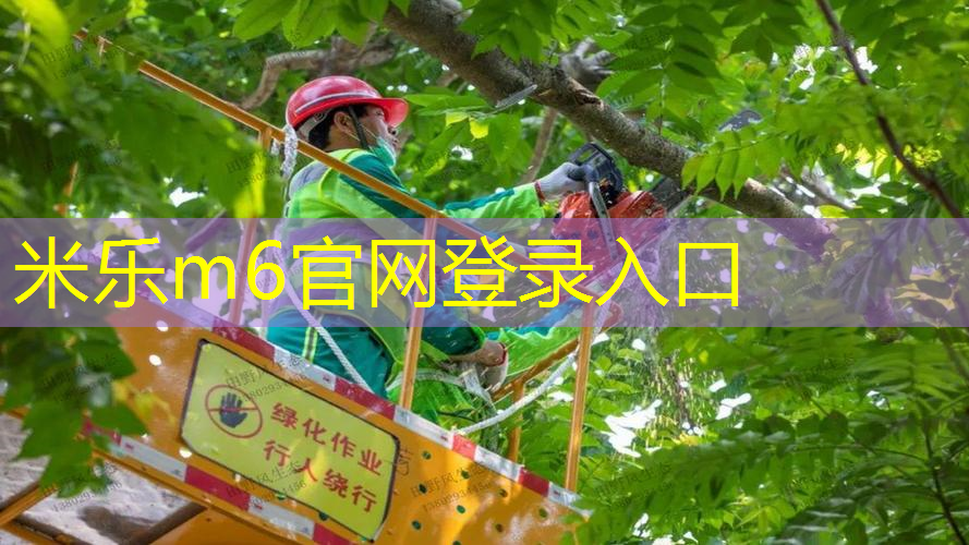 专业网球拍成人单拍