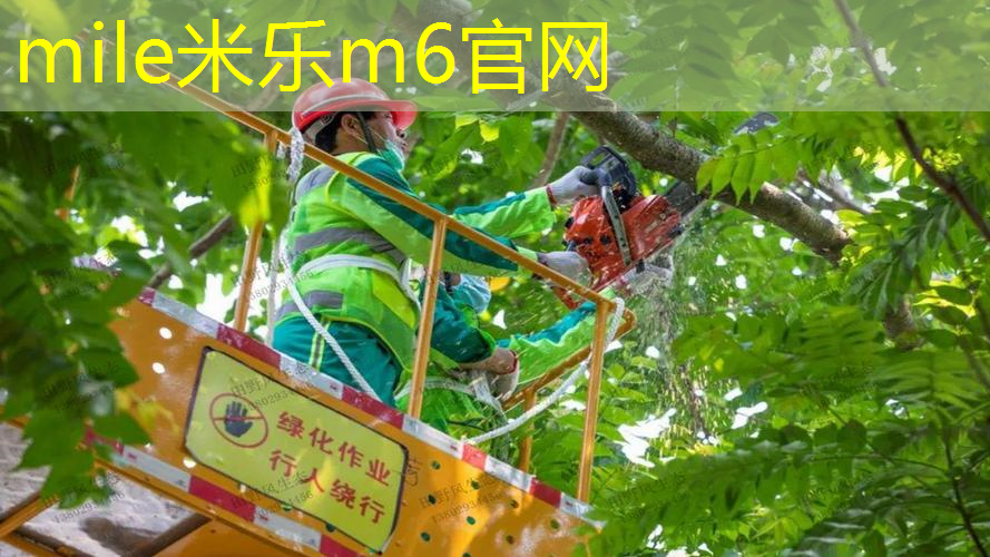 怎么在网球拍上绑球杆