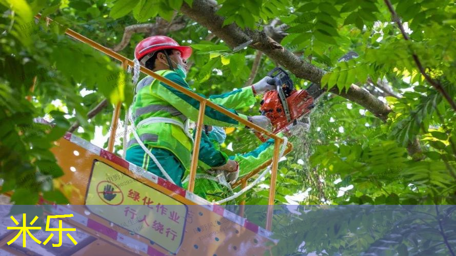 网球拍青少年和成人区别