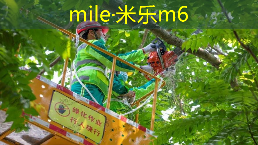 网球拍百宝力进阶
