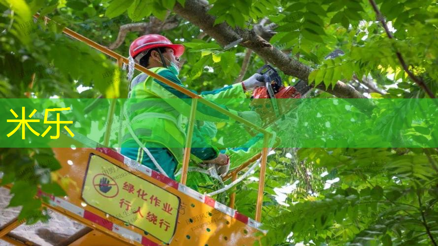 篮球架移动和固定式安装的区别与选择
