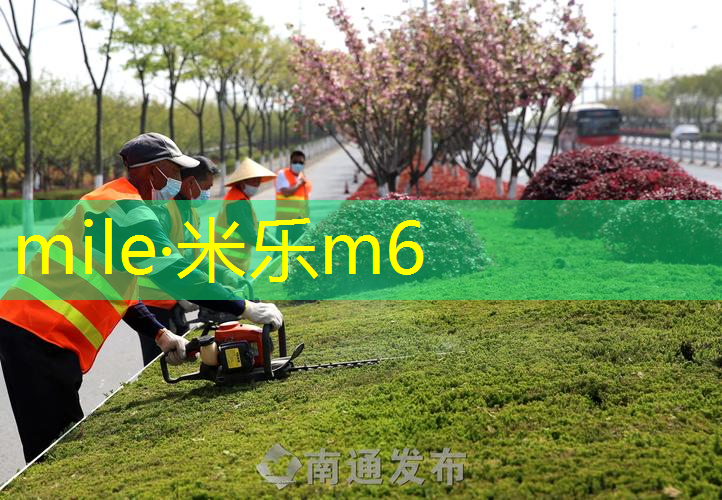 游乐天堂！冰淇淋户外滑梯儿童让你爱上夏天